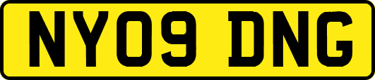NY09DNG