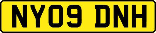 NY09DNH