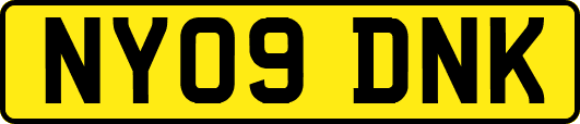 NY09DNK