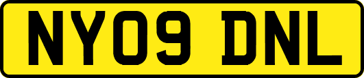 NY09DNL