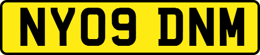 NY09DNM