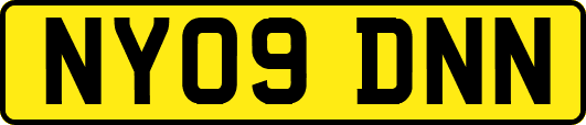 NY09DNN