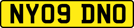 NY09DNO