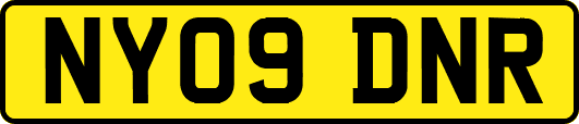 NY09DNR