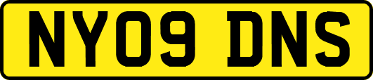 NY09DNS
