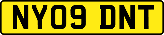 NY09DNT
