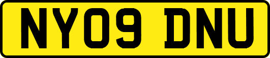 NY09DNU