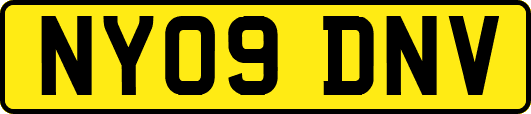 NY09DNV