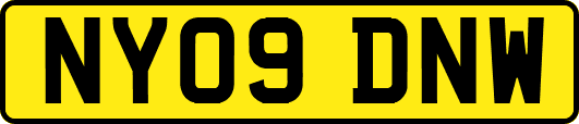 NY09DNW