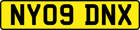 NY09DNX