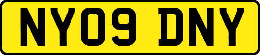 NY09DNY