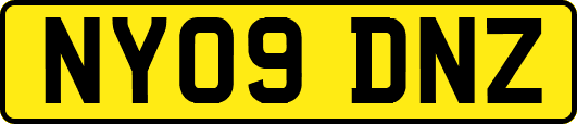 NY09DNZ