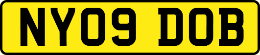 NY09DOB