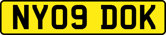 NY09DOK