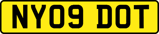 NY09DOT