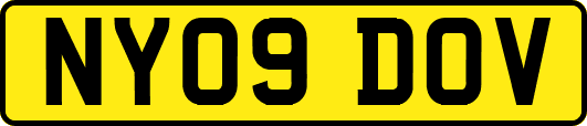 NY09DOV