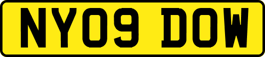 NY09DOW