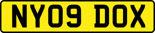 NY09DOX