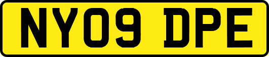 NY09DPE