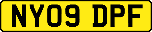 NY09DPF