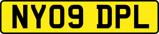 NY09DPL