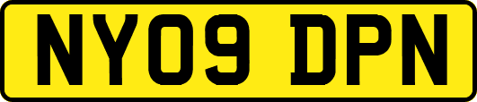 NY09DPN