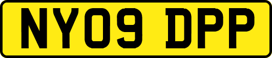 NY09DPP