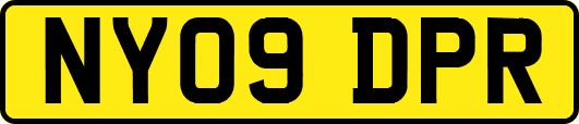 NY09DPR
