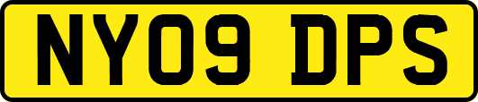 NY09DPS