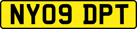 NY09DPT