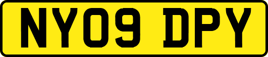 NY09DPY
