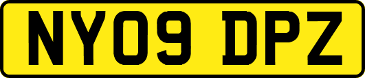 NY09DPZ