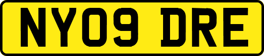 NY09DRE