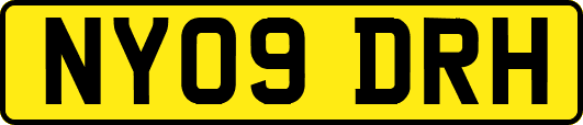 NY09DRH