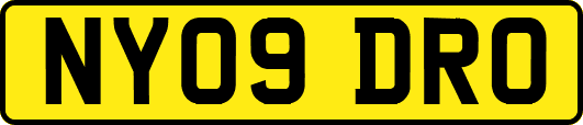 NY09DRO