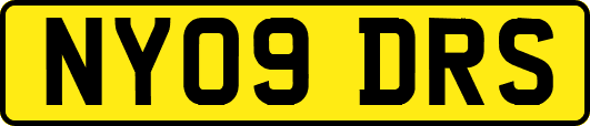 NY09DRS