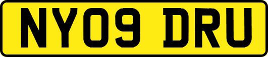 NY09DRU