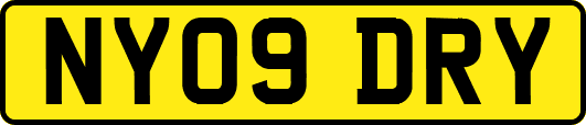 NY09DRY