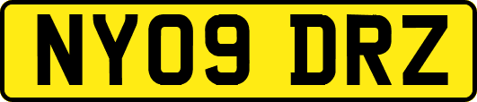 NY09DRZ