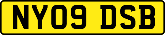 NY09DSB