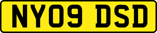 NY09DSD