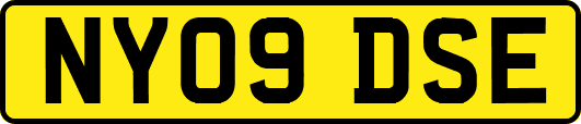NY09DSE