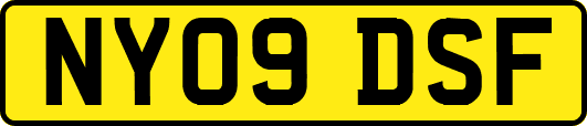 NY09DSF