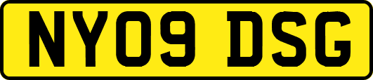 NY09DSG