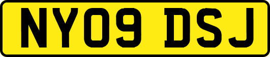 NY09DSJ