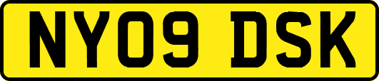 NY09DSK