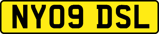 NY09DSL
