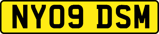 NY09DSM