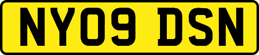 NY09DSN