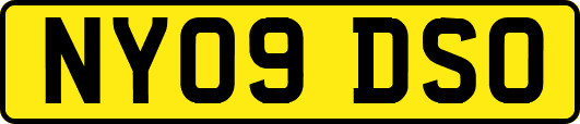 NY09DSO